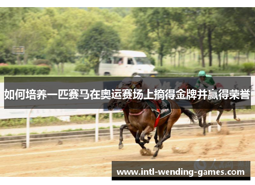 如何培养一匹赛马在奥运赛场上摘得金牌并赢得荣誉