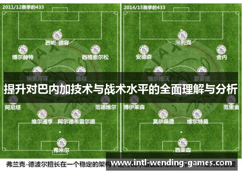提升对巴内加技术与战术水平的全面理解与分析
