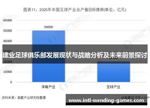 建业足球俱乐部发展现状与战略分析及未来前景探讨