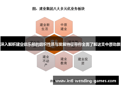 深入解析建业俱乐部的组织性质与发展特征带你全面了解这支中原劲旅