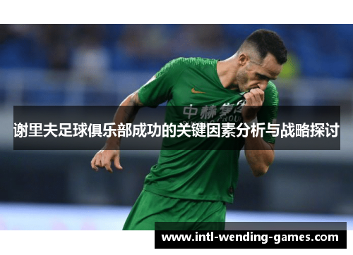 谢里夫足球俱乐部成功的关键因素分析与战略探讨