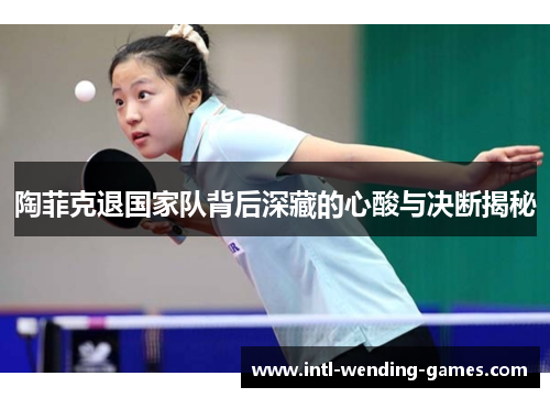 陶菲克退国家队背后深藏的心酸与决断揭秘 陶菲克退国家队背后深藏的心酸与决断揭秘